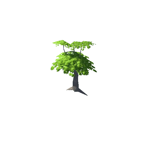 Maple Tree Green Mid 02